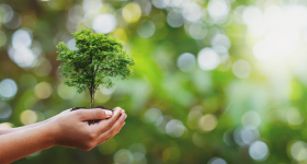 Nature-in-our-hands Nature-in-our-hands